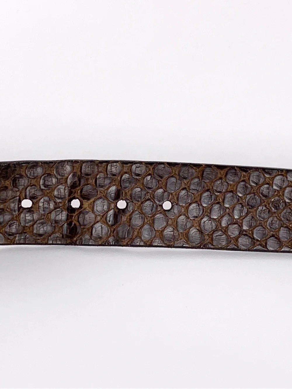 Genuine anaconda snakeskin belt by Trafalgar Luxe brown with brass buckle sz 42